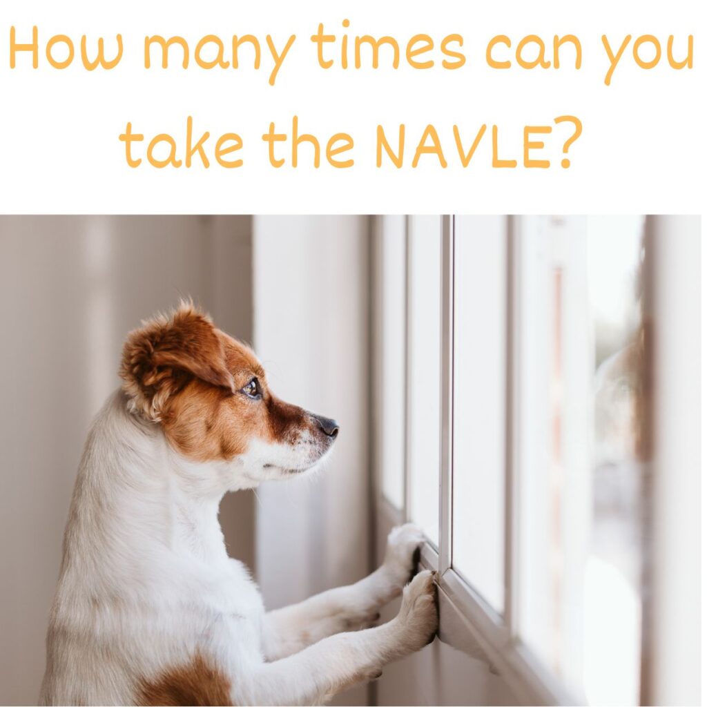 How many times can you take the NAVLE?