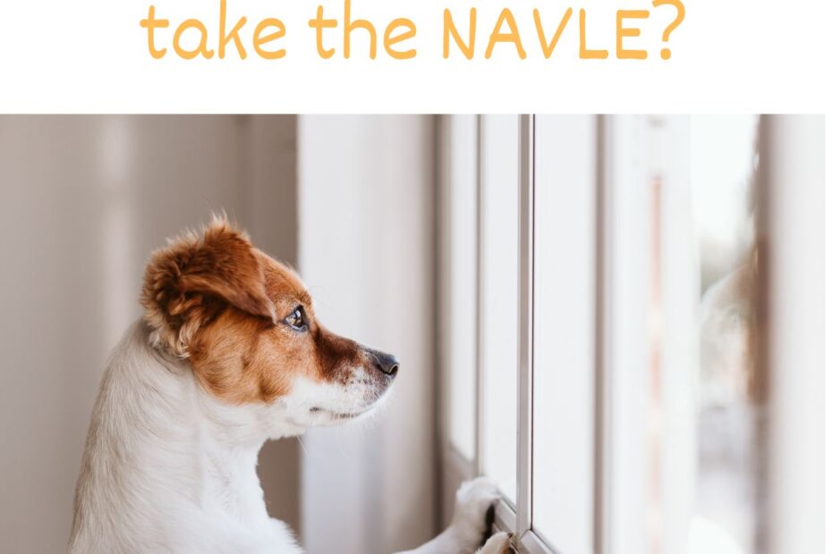 How many times can you take the NAVLE?